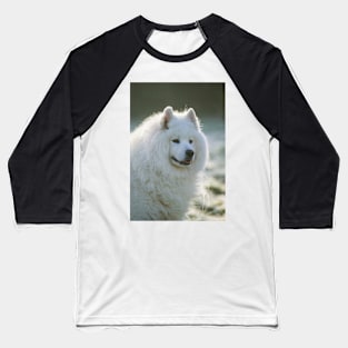 Smiling Samoyed Baseball T-Shirt